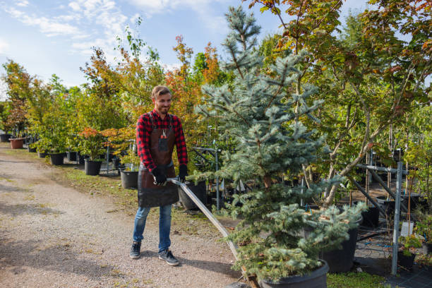 Best Utility Line Clearance  in Cohasset, MN